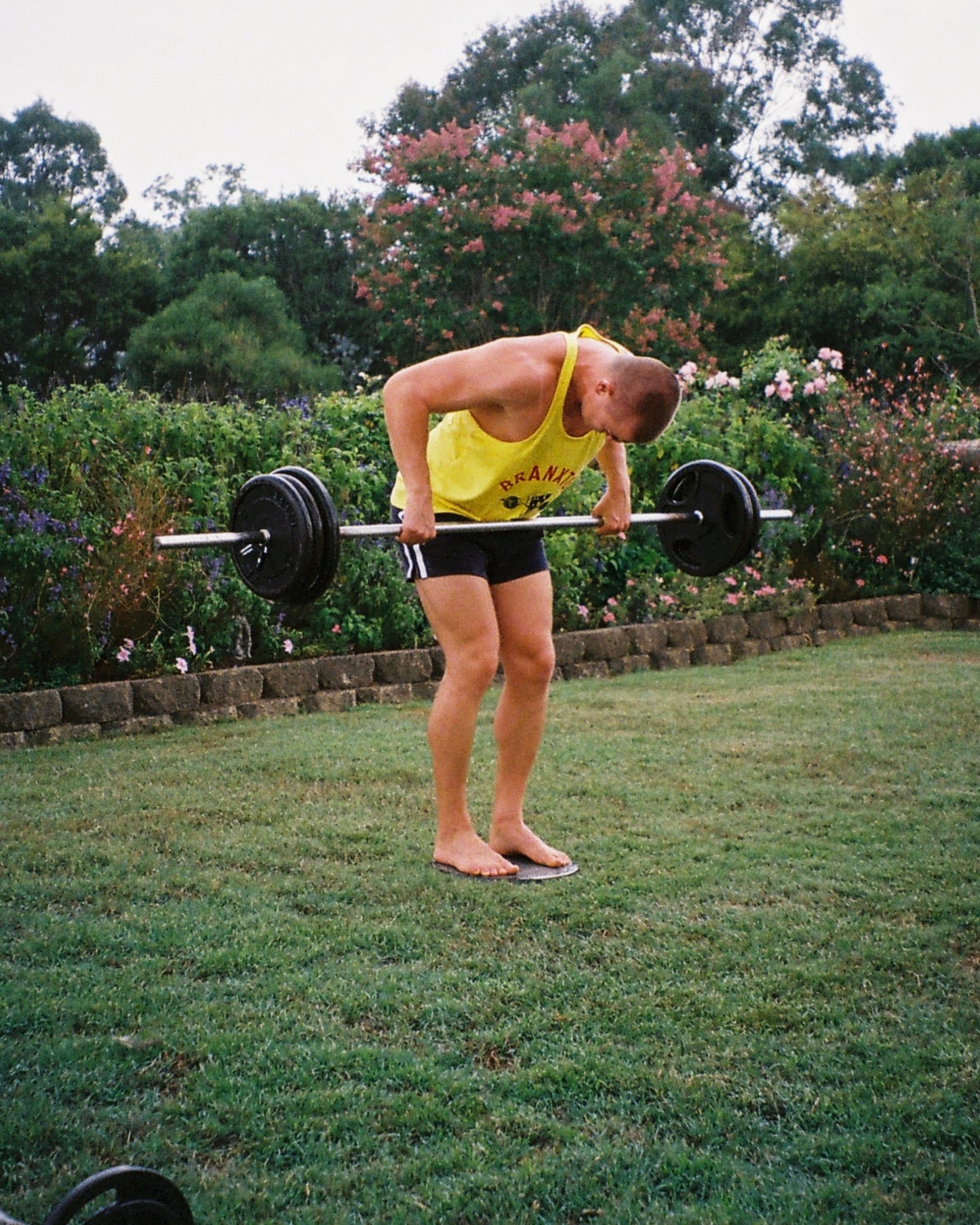Barbell Row Stringer - Yellow